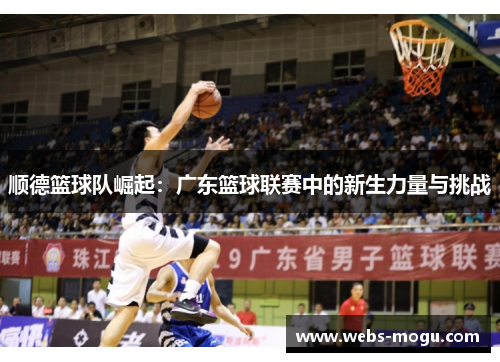 顺德篮球队崛起：广东篮球联赛中的新生力量与挑战